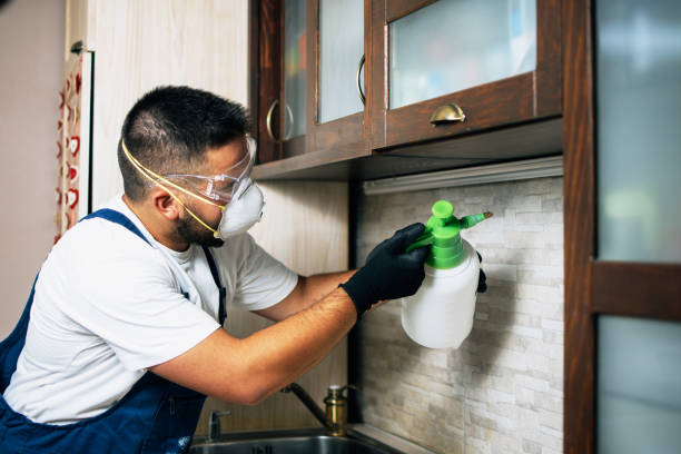Best Emergency Pest Control  in Lawrenceburg, TN