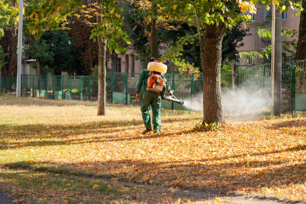 Best Residential Pest Control  in Lawrenceburg, TN