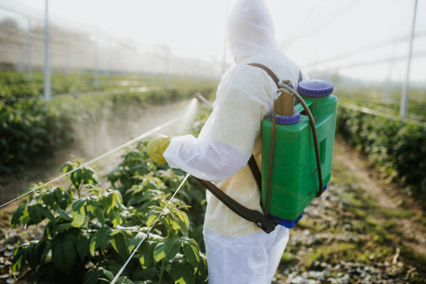 Professional Pest Control in Lawrenceburg, TN